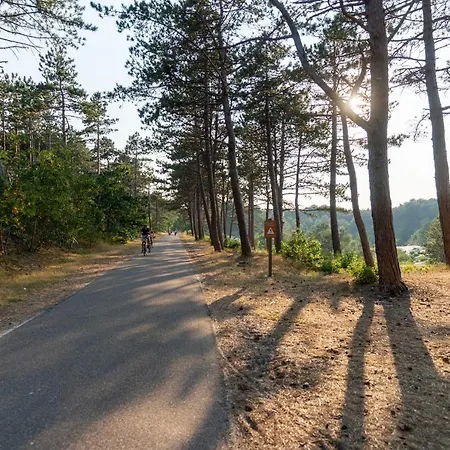 Loft Heerehof Gasthof Schoorl